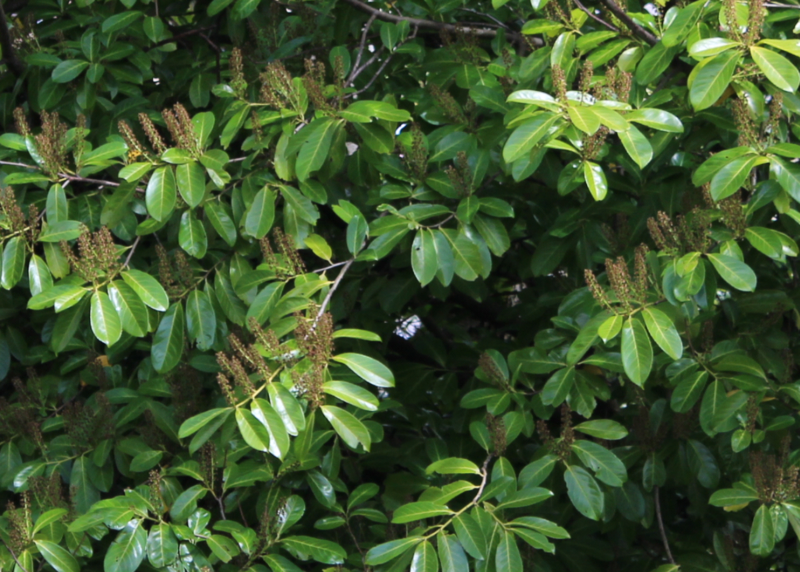 d6a68ef0-36f6-4683-b789-5be9aba5ab5f_zps