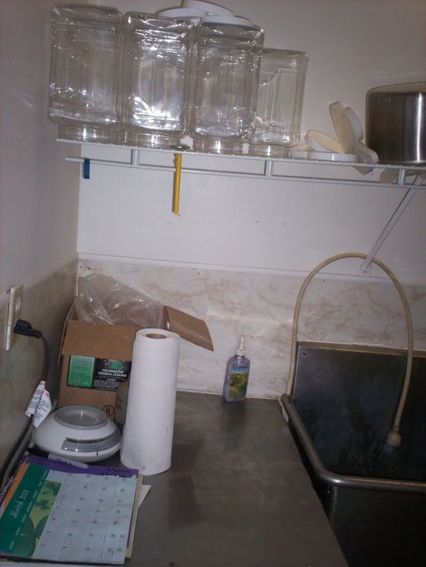 Dairy Design Idea??? - Goats