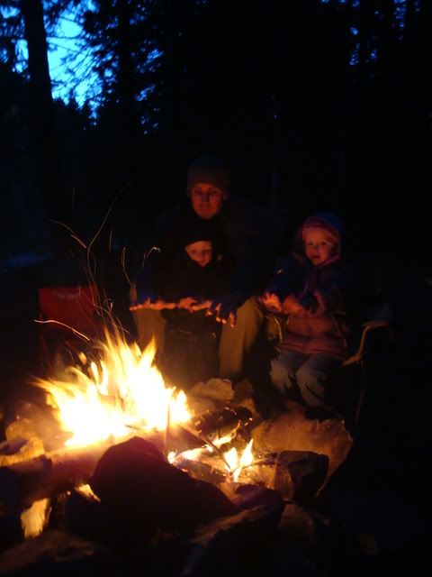 DSC02352.jpg