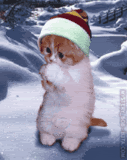 http://i37.photobucket.com/albums/e88/wattanasuriyawong/th10.gif