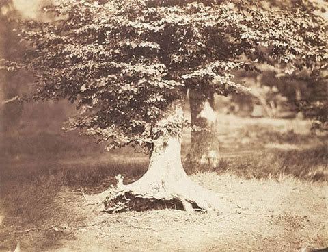 Самые дорогие фотграфии Самые дорогие фотграфии