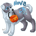 halloweentag_nova.gif