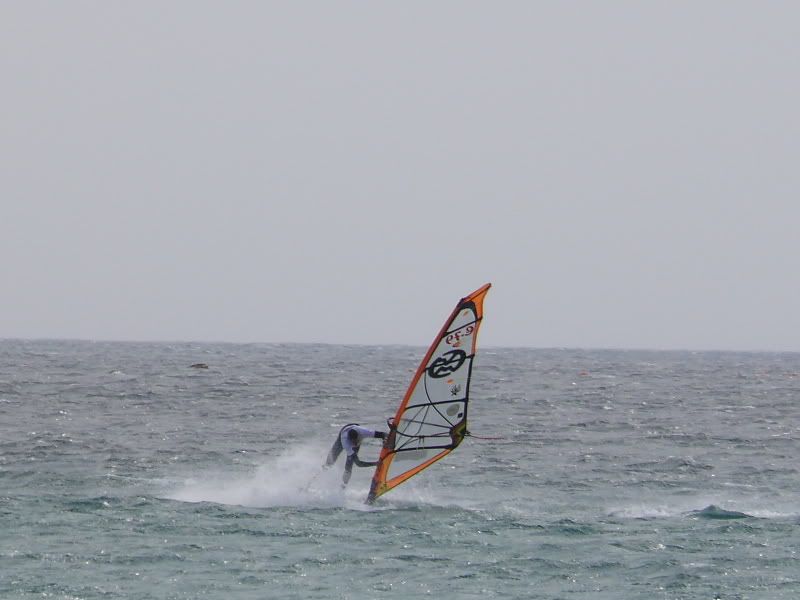 ballena.jpg