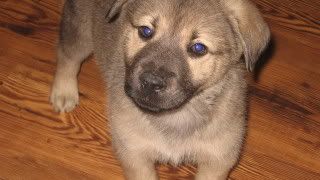 Solution for "The Blues"..... - Countryside Families