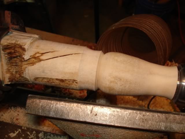 DSC03968.jpg