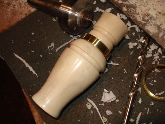 DSC03986.jpg
