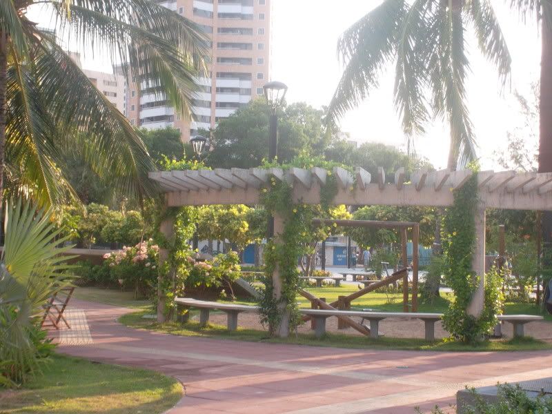 Vivir en Brasil - Foro América del Sur