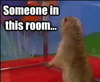 room.gif