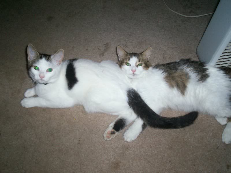 Rue and Jasmine
