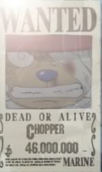 chopperwanted.jpg wanted: chopper image by Ryoko2173