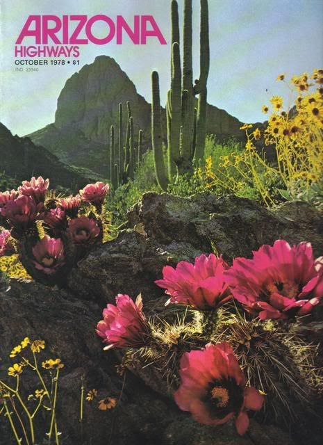 1978 Arizona Highways Jan. through Dec. Entire Year 12 Bound Magazines Desert 1978 Arizona Highways Jan. through Dec. Entire Year 12 Bound Magazines Desert