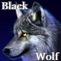 Black Wolf Avatar