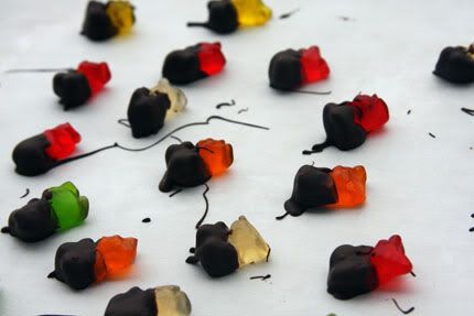 chocolate-covered-gummi-bears.jpg
