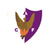 fenix.png