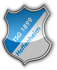 hoffenheim.png