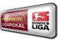 ligapokal.png