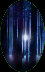 nightforest_zpsf6026a1e.png