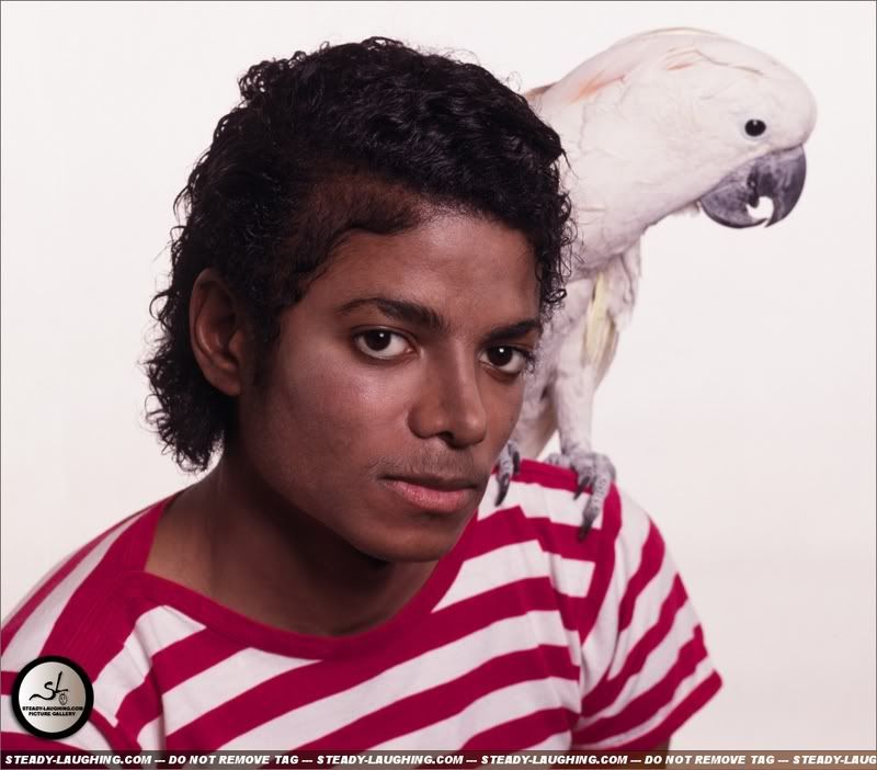 mjjwow28.jpg