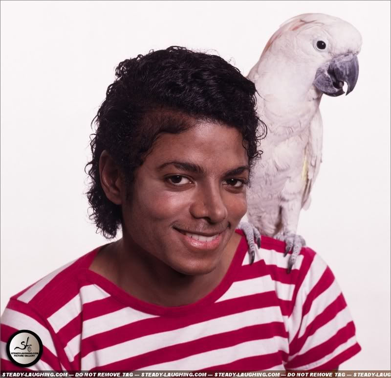 mjjwow29.jpg