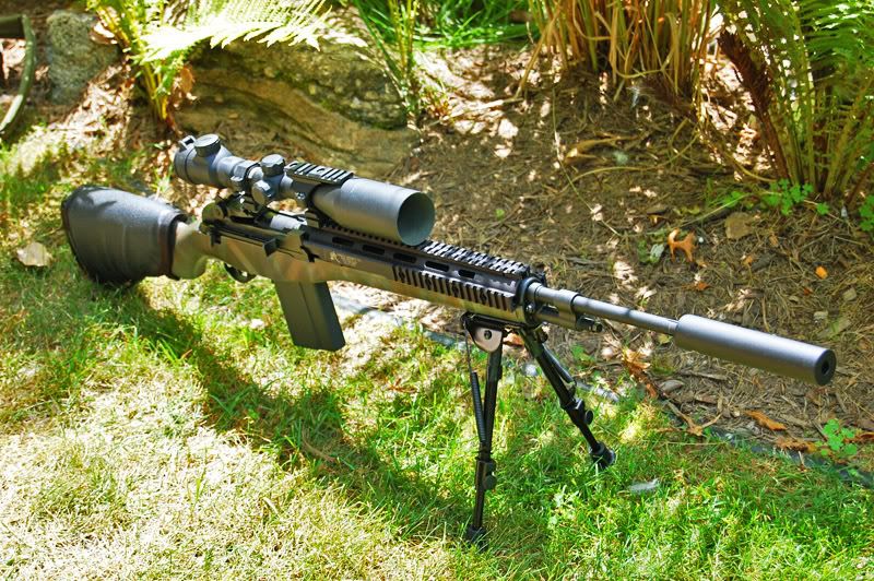 m14 sniper rifle. an M14 quot;sniper riflequot;,