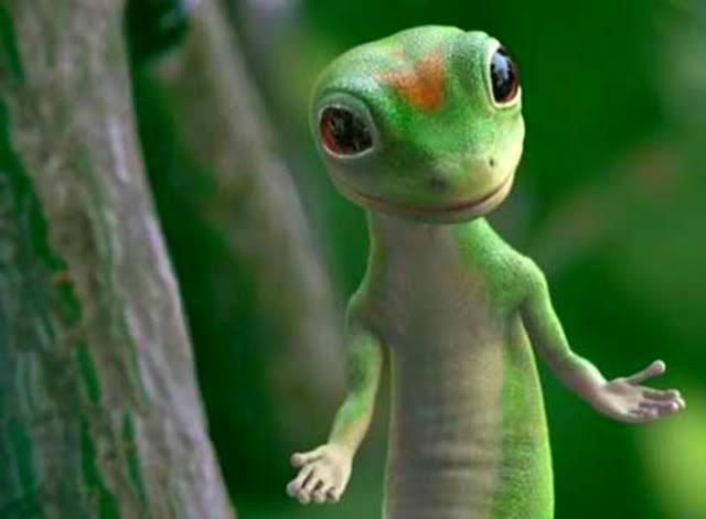 gecko &nbsp;Pictures, Images and Photos