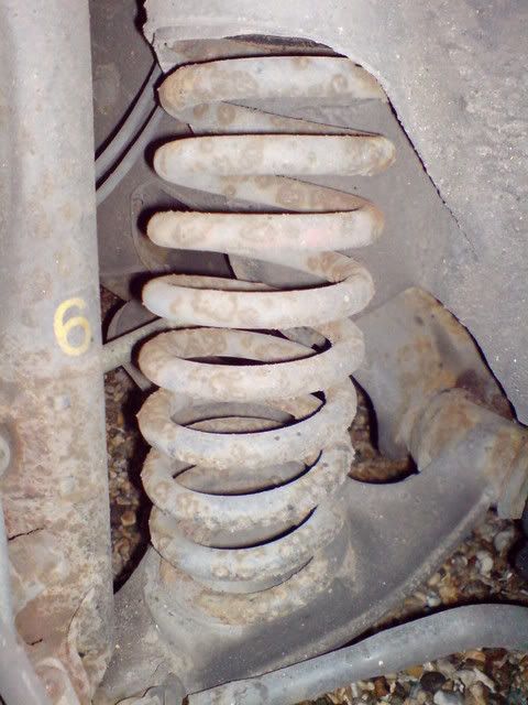 DSC00257.jpg