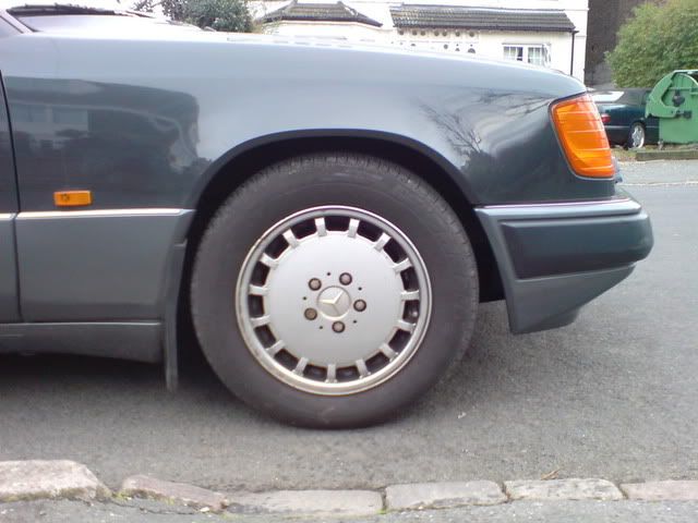 DSC00260.jpg