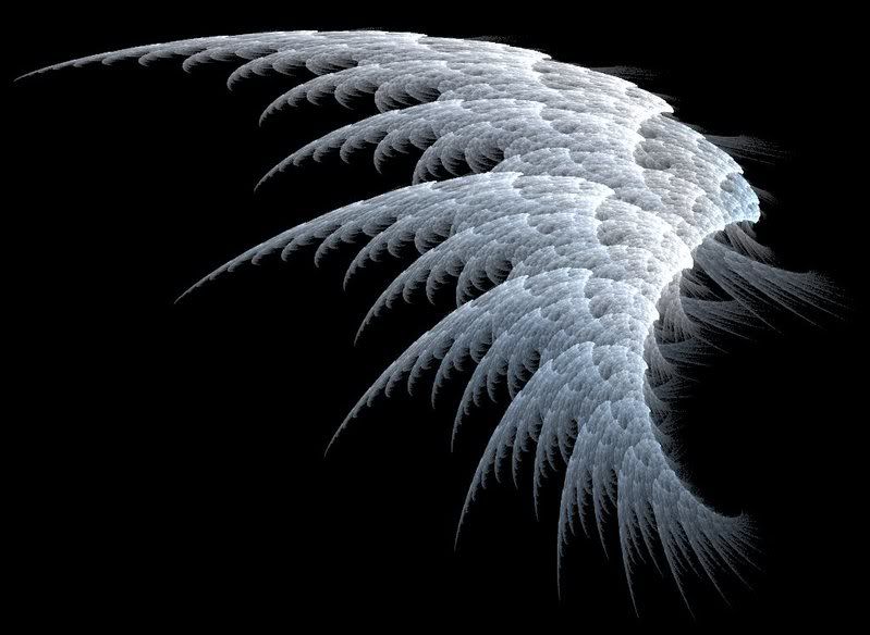 black angel wings Pictures, Images and Photos