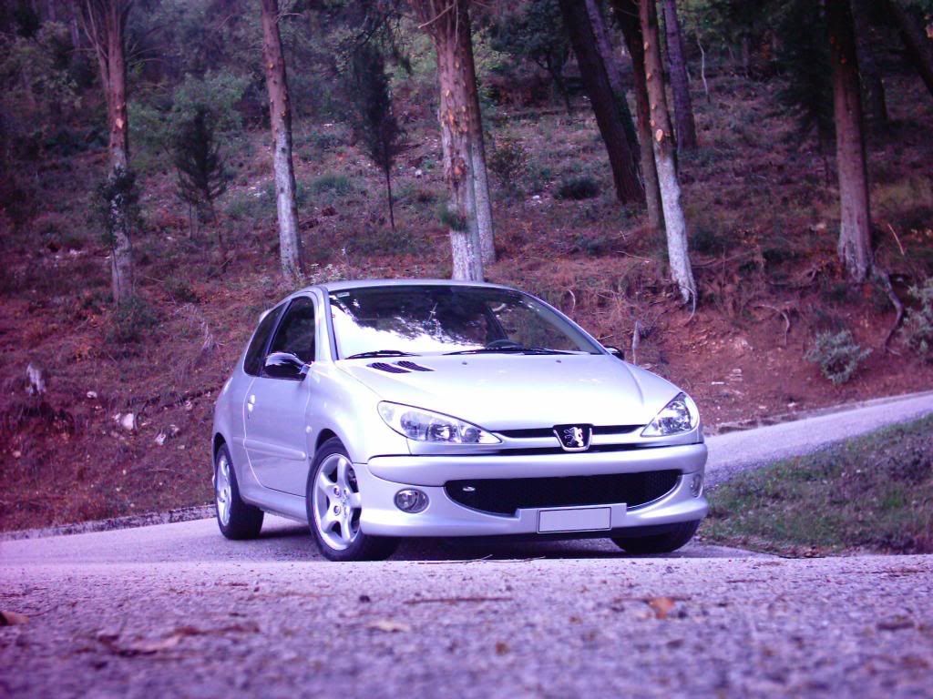 Peugeot_206.jpg