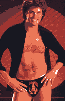 https://i37.photobucket.com/albums/e60/dilleyo219/hasselhoff.gif