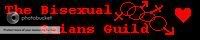 Bisexual Gaians banner
