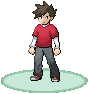 [PokeCommunity.com] Pokemon Destiny