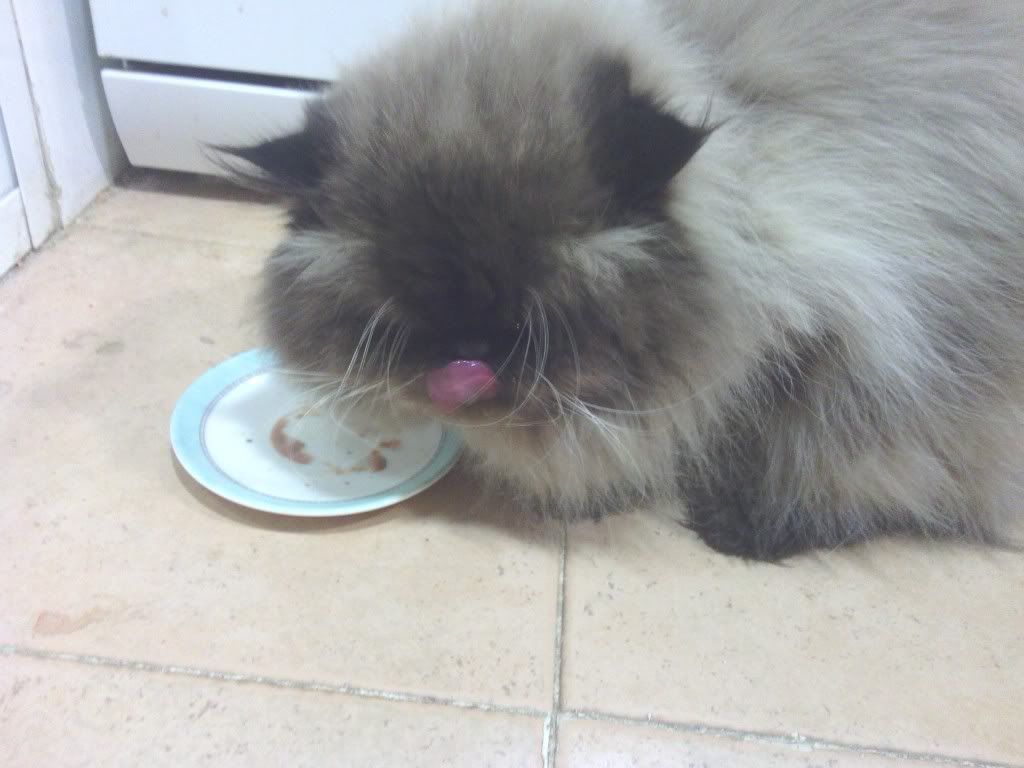 2012-02-04211114.jpg