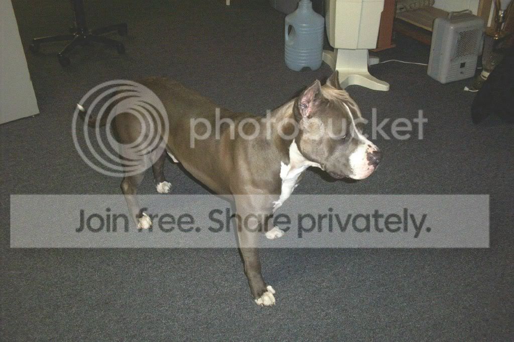 Image hosting by Photobucket
