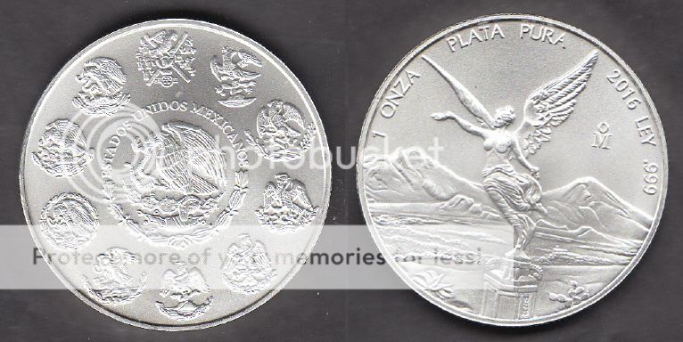 Collections & Lots - Ten (10) One Ounce Fine SILVER (1 OZ