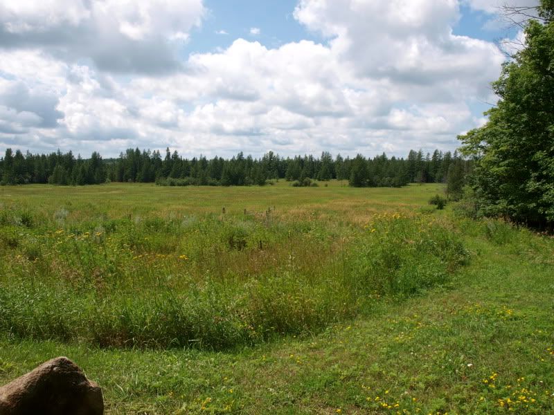 farm