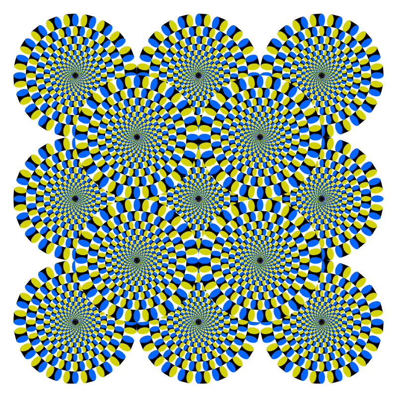 Hybrid Face Illusion - WetCanvas