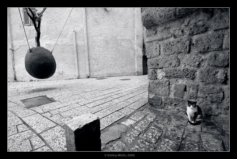 Про кота