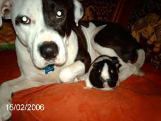 Picture044.jpg