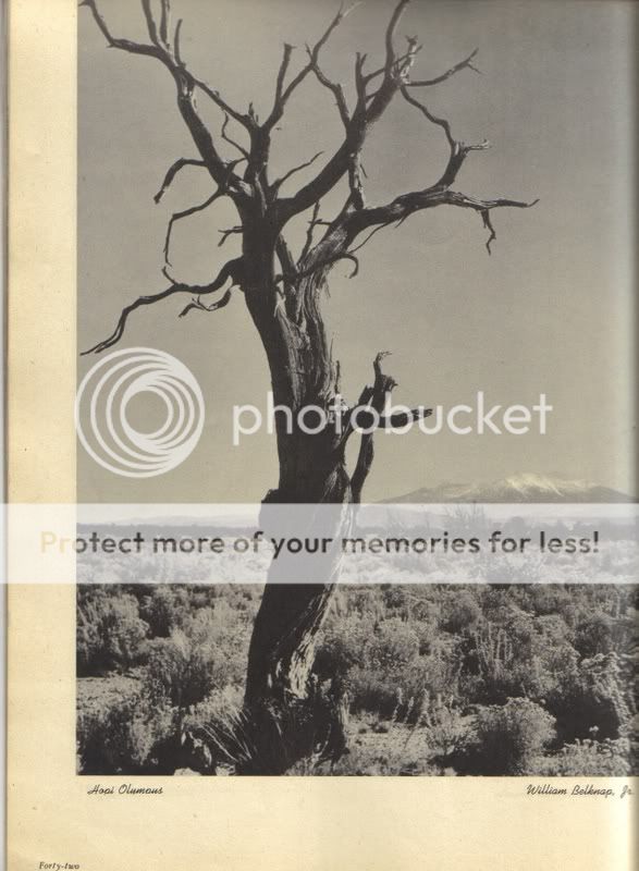 1945 MAY ARIZONA HIGHWAYS TOMBSTONE PETRIFIED FOREST  